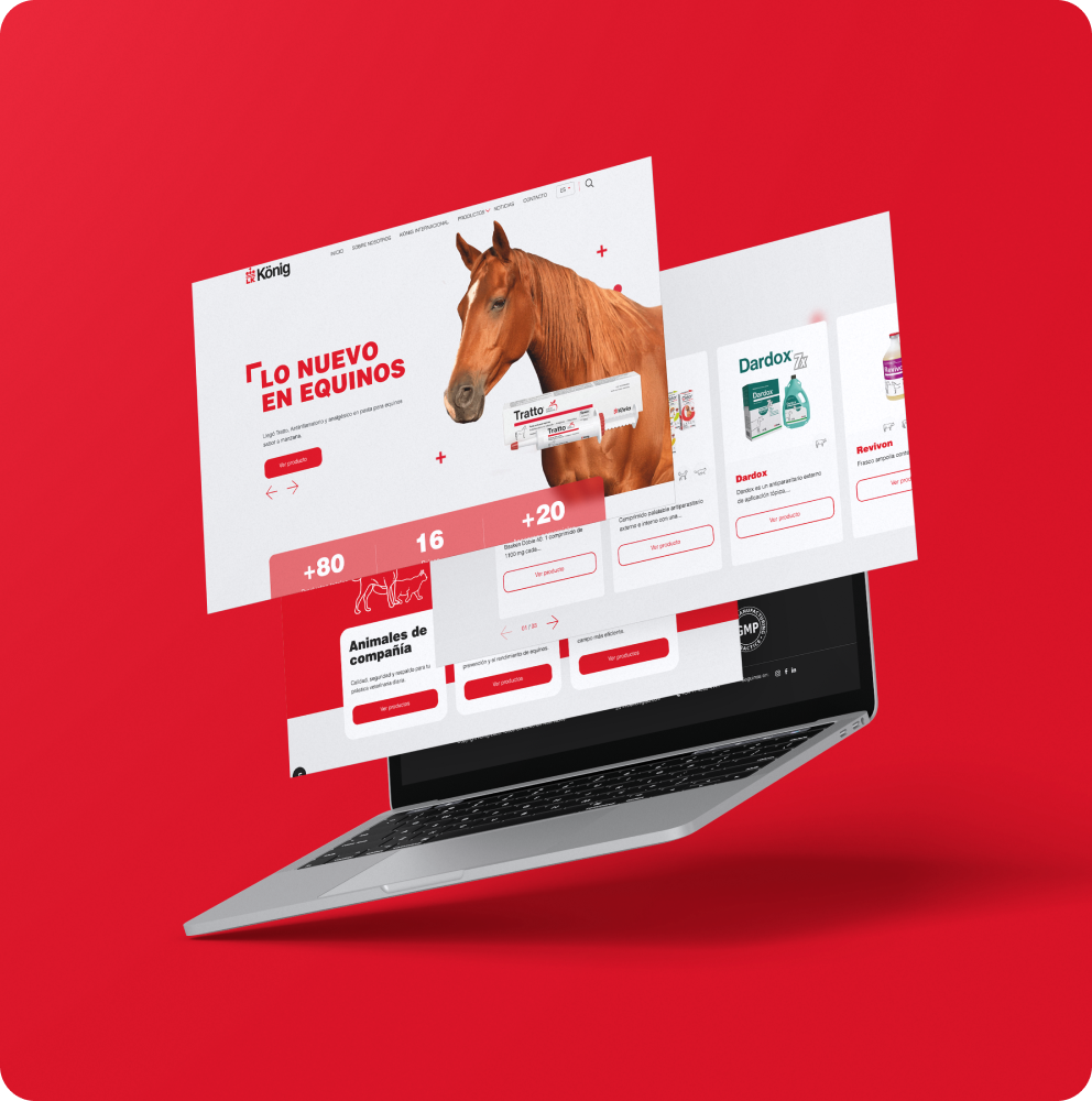 Proyecto Konig — Felins Solutions
